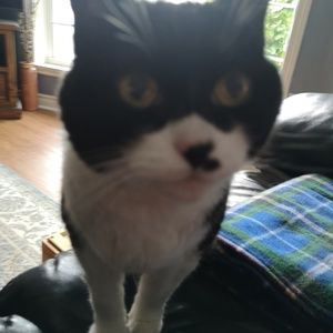 Meet your Posher, Scott